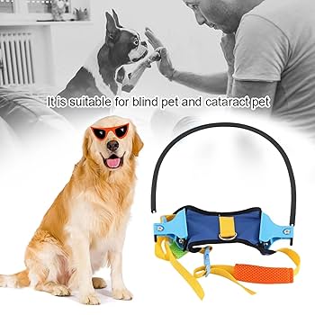 更に値下げしました！特注品 犬用の衝突防止や歩行補助の盲目リング 更に値下げしました！特注品 犬用の衝突防止や歩行補助の盲目